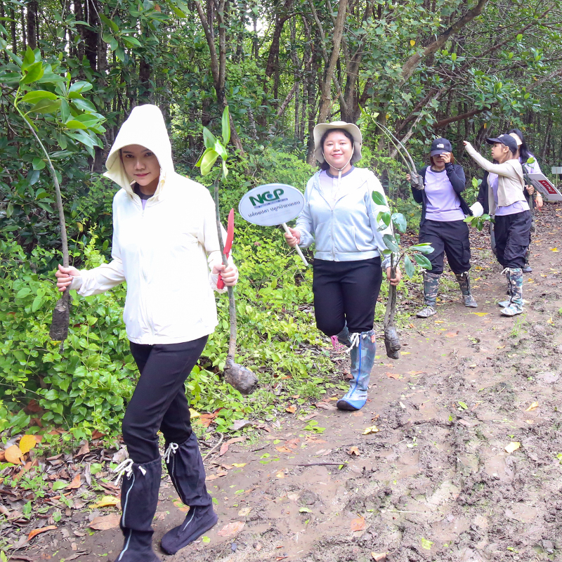 NCP ปล่อยปลา ปลูกป่าชายเลน เฉลิมพระเกียรติฯ พระบรมราชชนนีพันปีหลวง