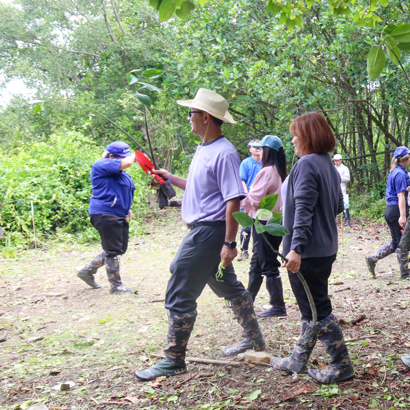 NCP ปล่อยปลา ปลูกป่าชายเลน เฉลิมพระเกียรติฯ พระบรมราชชนนีพันปีหลวง