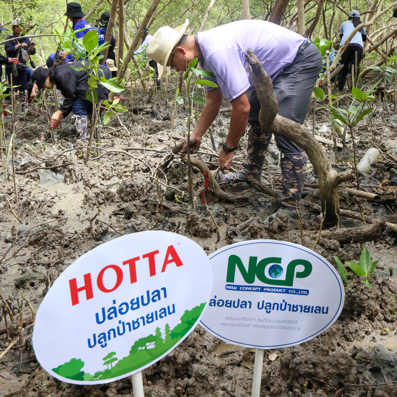 NCP ปล่อยปลา ปลูกป่าชายเลน เฉลิมพระเกียรติฯ พระบรมราชชนนีพันปีหลวง