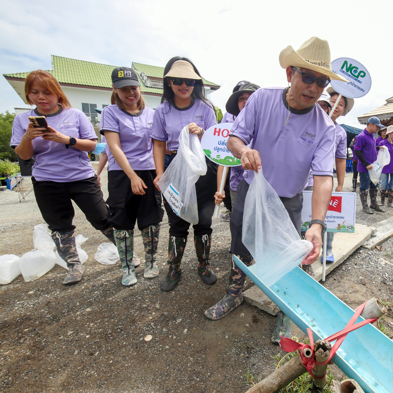NCP ปล่อยปลา ปลูกป่าชายเลน เฉลิมพระเกียรติฯ พระบรมราชชนนีพันปีหลวง