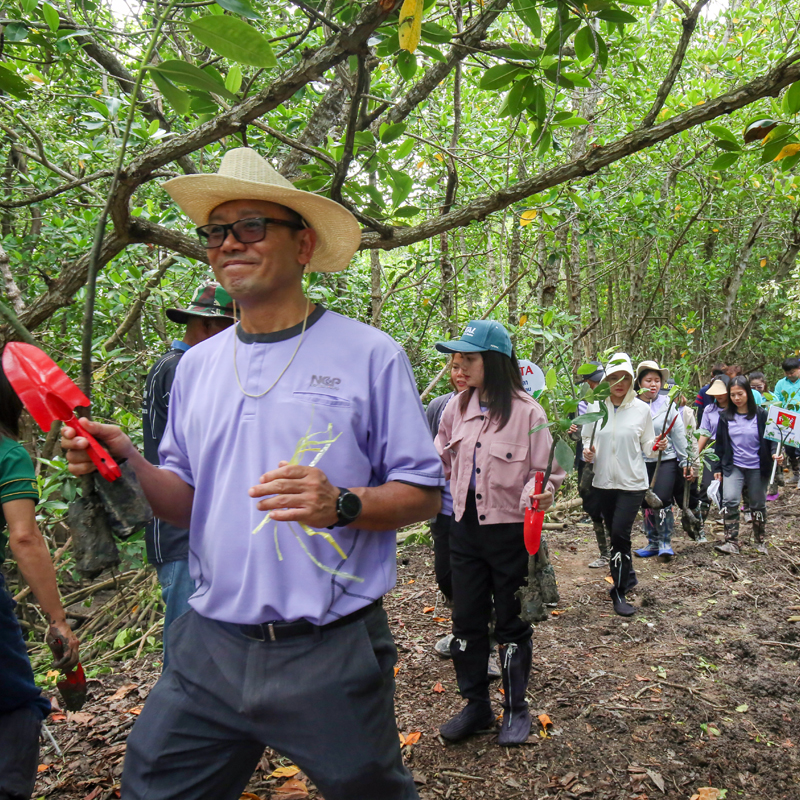 NCP ปล่อยปลา ปลูกป่าชายเลน เฉลิมพระเกียรติฯ พระบรมราชชนนีพันปีหลวง