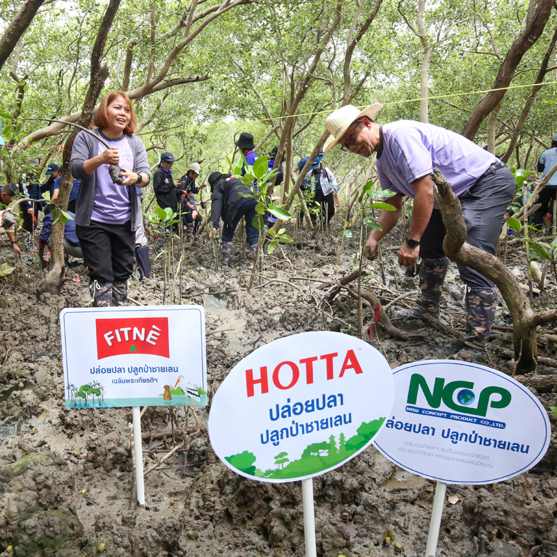 NCP ปล่อยปลา ปลูกป่าชายเลน เฉลิมพระเกียรติฯ พระบรมราชชนนีพันปีหลวง