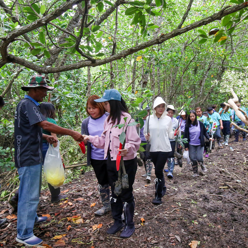 NCP ปล่อยปลา ปลูกป่าชายเลน เฉลิมพระเกียรติฯ พระบรมราชชนนีพันปีหลวง