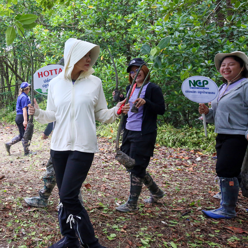 NCP ปล่อยปลา ปลูกป่าชายเลน เฉลิมพระเกียรติฯ พระบรมราชชนนีพันปีหลวง