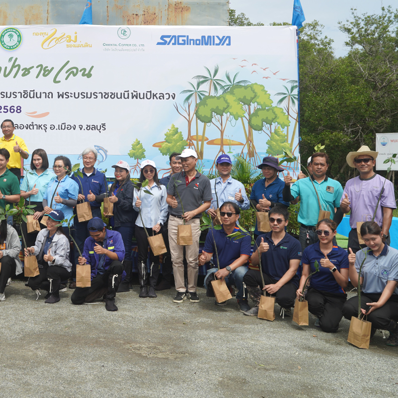 NCP ปล่อยปลา ปลูกป่าชายเลน เฉลิมพระเกียรติฯ พระบรมราชชนนีพันปีหลวง