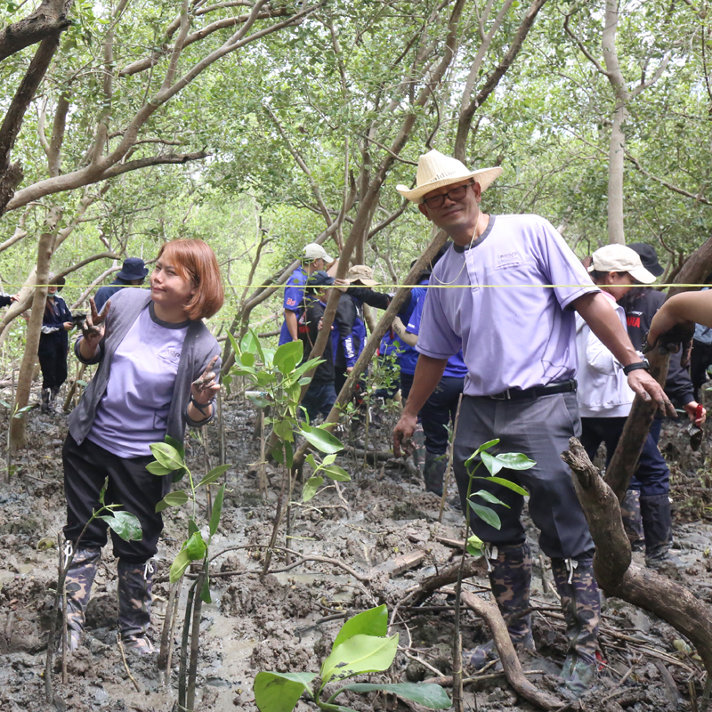 NCP ปล่อยปลา ปลูกป่าชายเลน เฉลิมพระเกียรติฯ พระบรมราชชนนีพันปีหลวง