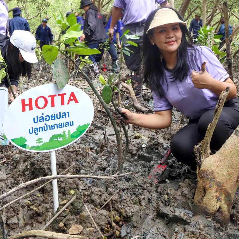 NCP ปล่อยปลา ปลูกป่าชายเลน เฉลิมพระเกียรติฯ พระบรมราชชนนีพันปีหลวง