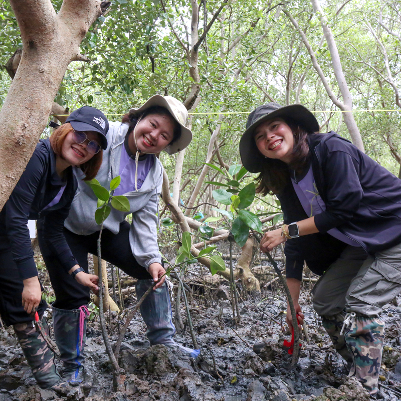 NCP ปล่อยปลา ปลูกป่าชายเลน เฉลิมพระเกียรติฯ พระบรมราชชนนีพันปีหลวง